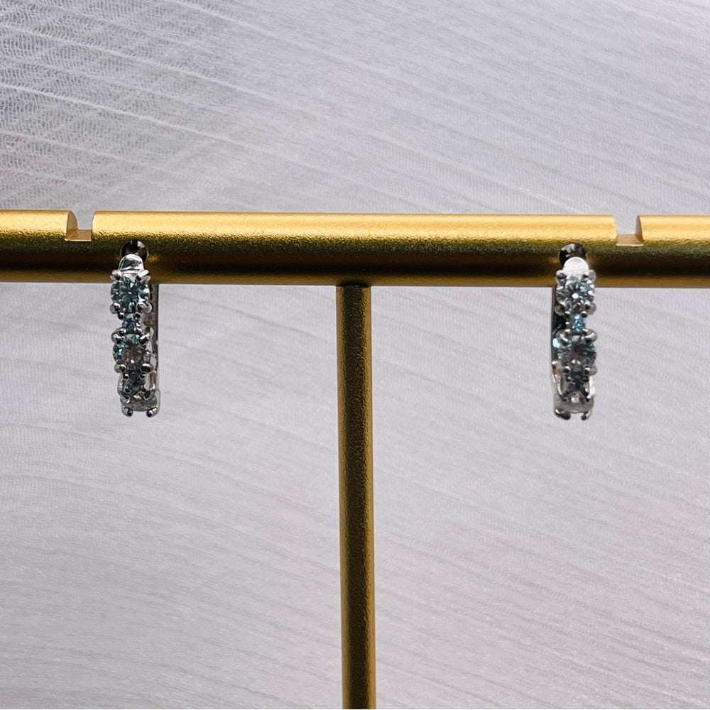 0.3 CT x 2 Moissanite Diamond Earrings