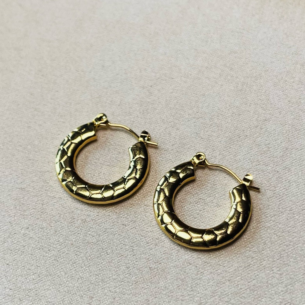 Cora Hoop