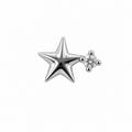 Crystal Star Screwback Earring