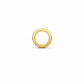 Open Circle Screwback Earring