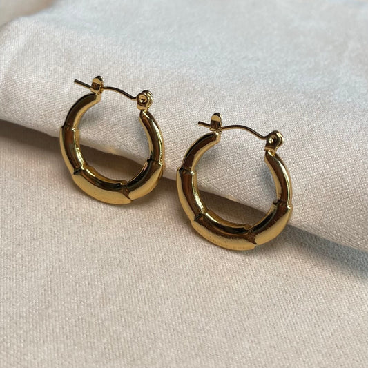 Sophia Hoop