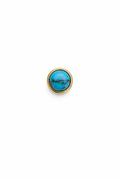 Turquoise Screwback Earring