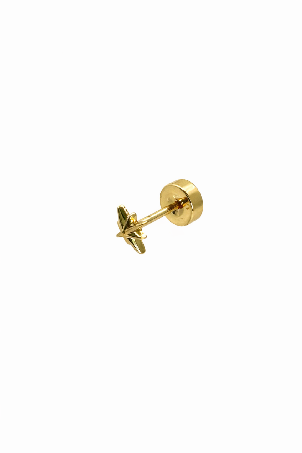 Star Screwback Earring