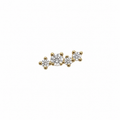 Crystal Screwback Earring