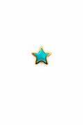 Enamel Star Screwback Earring