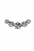 Crystal Screwback Earring