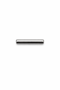 Small Bar Screwback Earring