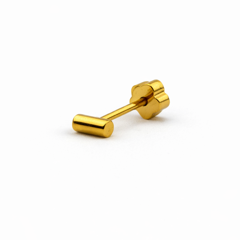 Round Bar Screwback Earring