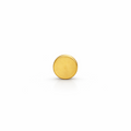 Flat Circle Screwback Earring