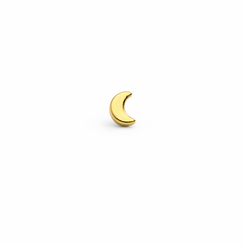 Moon Screwback Earring