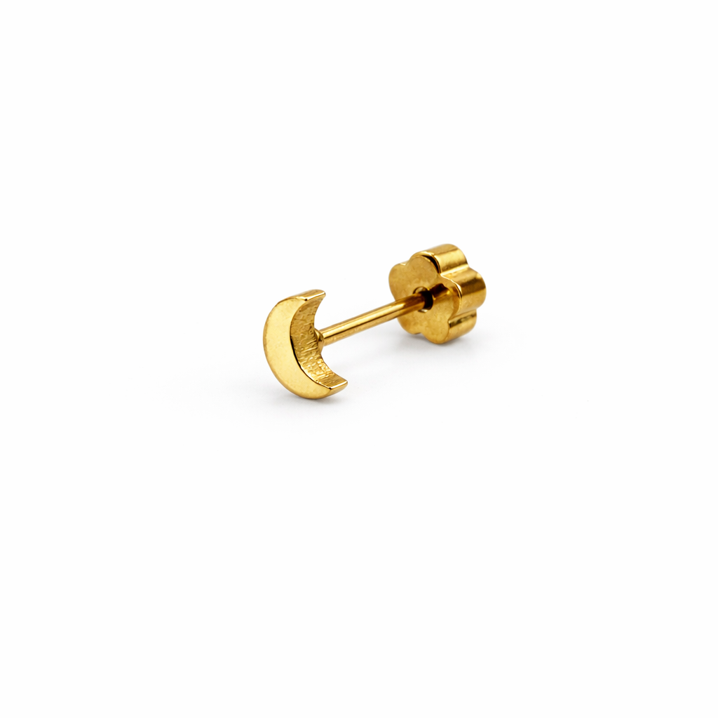 Large Moon Screwback Earring