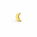 Large Moon Screwback Earring