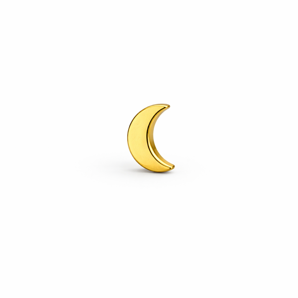 Large Moon Screwback Earring