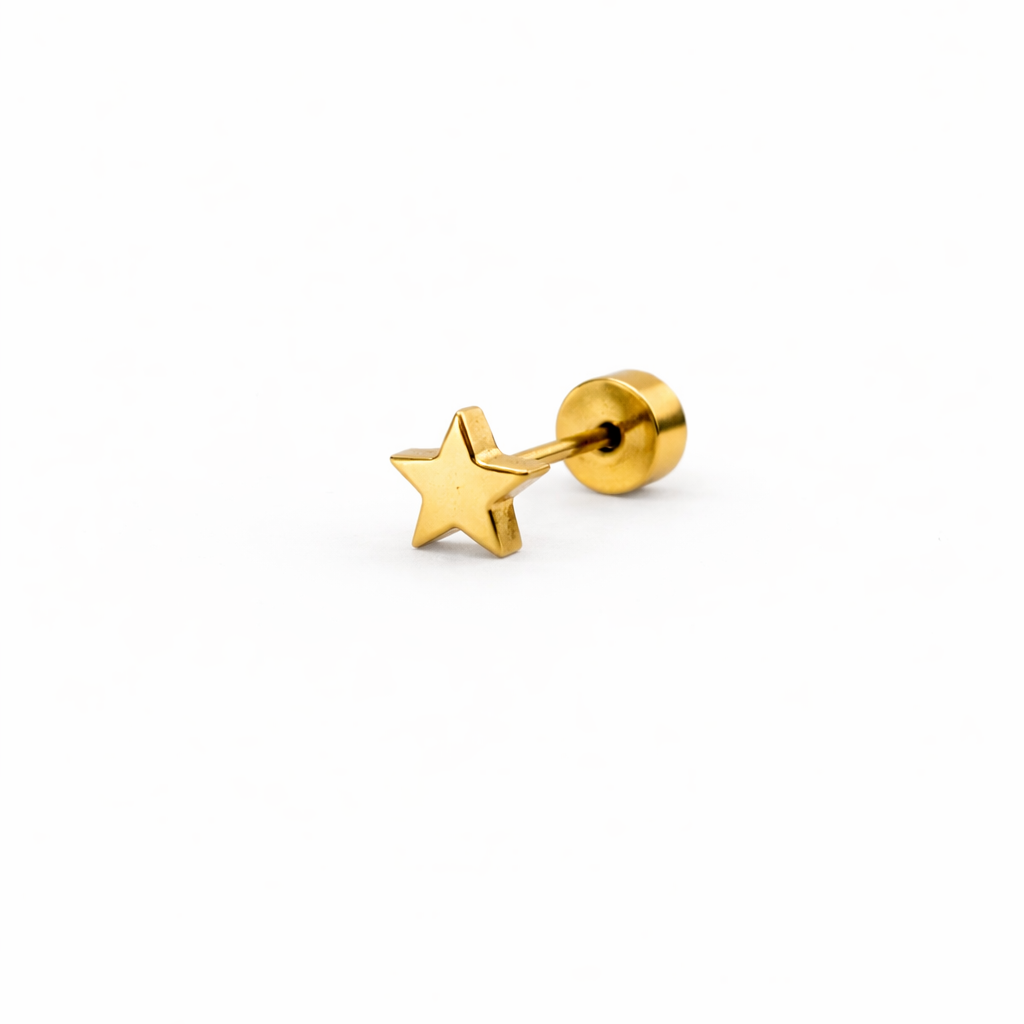 Small Star Screwback Earring