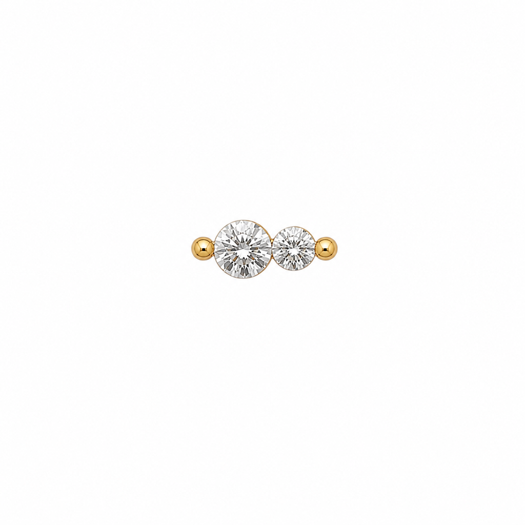 Double Crystal Screwback Earring