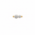 Double Crystal Screwback Earring