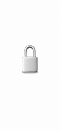 Lock Screwback Earring
