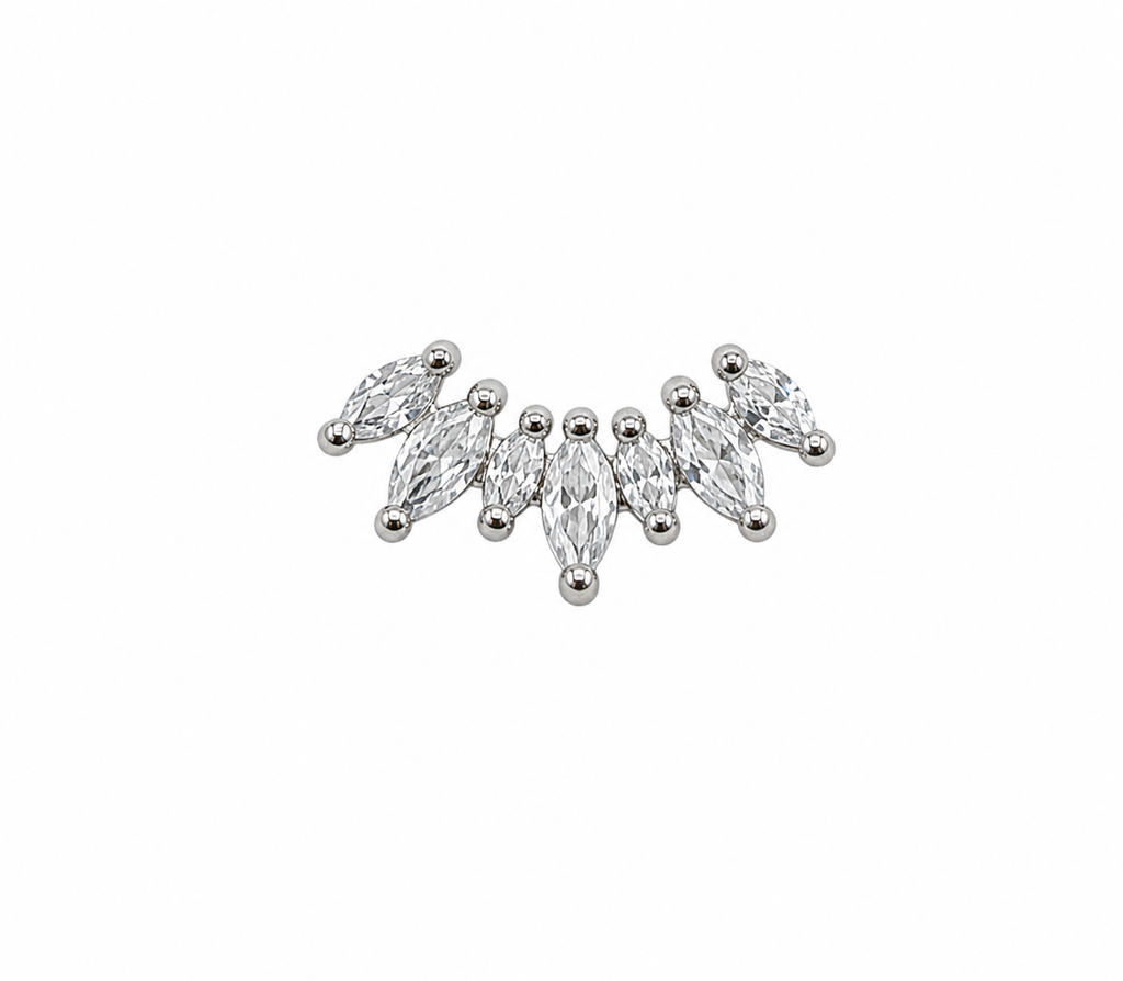 Crystal Screwback Earring