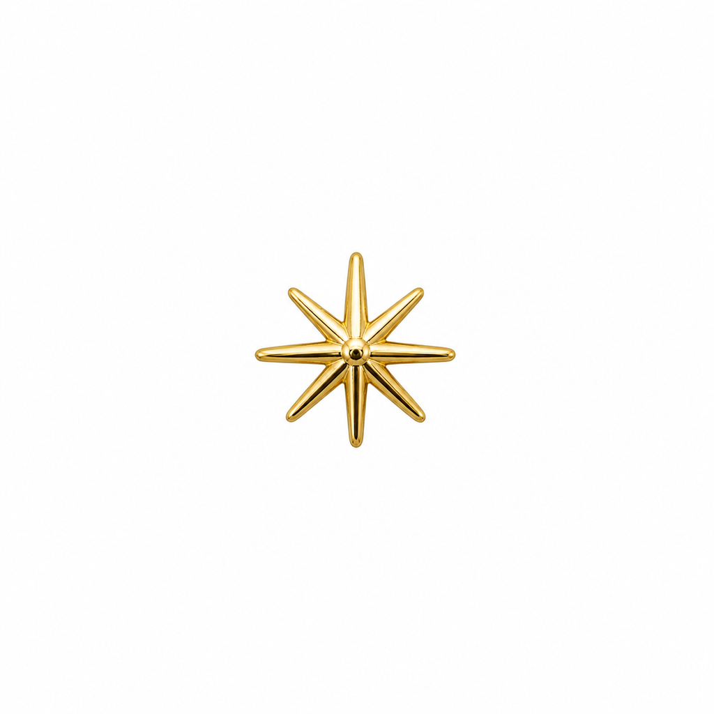 Star Screwback Earring