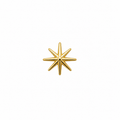 Star Screwback Earring