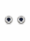 Small Blue Crystal Stud Earrings