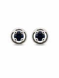 Blue Crystal Stud Earrings