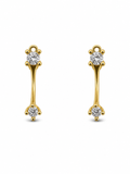 Double Crystal Gold Stud Earrings