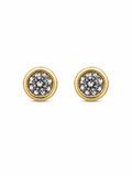 Petite Bezel Crystal Gold Stud Earrings