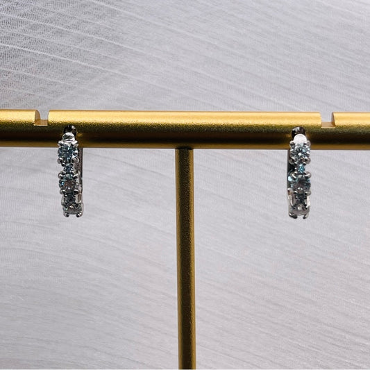 0.3 CT x 2 Moissanite Diamond Earrings