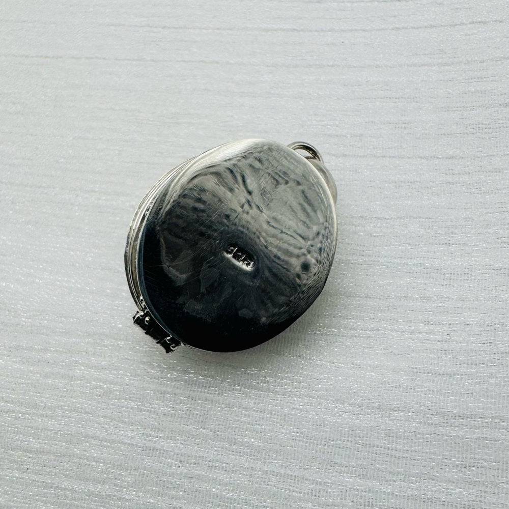 Rainbow Moonstone Poison Locket Pendant