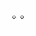 0.2 CT x 2 Moissanite Four Leaf Clover Stud Earrings