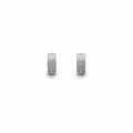 1.12 CT Total Moissanite Hoop Earrings