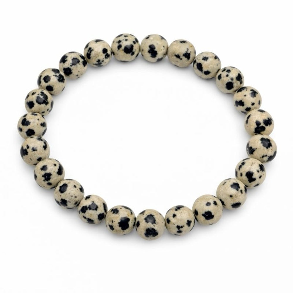 Dalmatian Jasper Stretchy Gemstone Bracelet