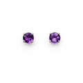 Round Amethyst Stud Earrings