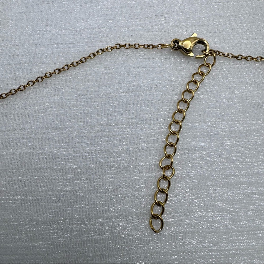 Stainless Steel Crystal “S” Necklace