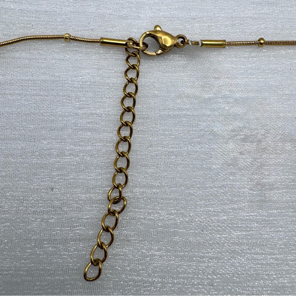 Stainless Steel “D” Necklace