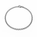2mm Silver Rolo Chain Bracelet