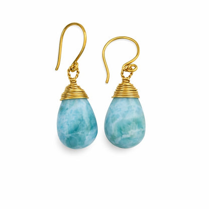 HK1104 S925 Larimar Wrapped Dangle Earrings