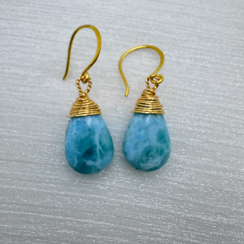 HK1104 S925 Larimar Wrapped Dangle Earrings