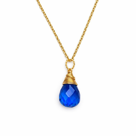 N911 S925 Sapphire Wrapped Necklace
