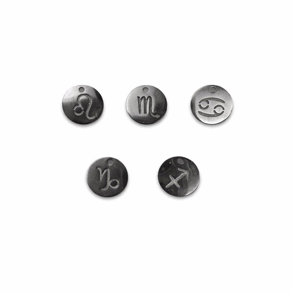 Zodiac Circle Charms Silver Stainless Steel