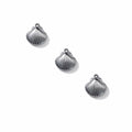Shell Charm Silver Stainless Steel
