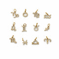 Zodiac Pavé Charm Gold Stainless Steel