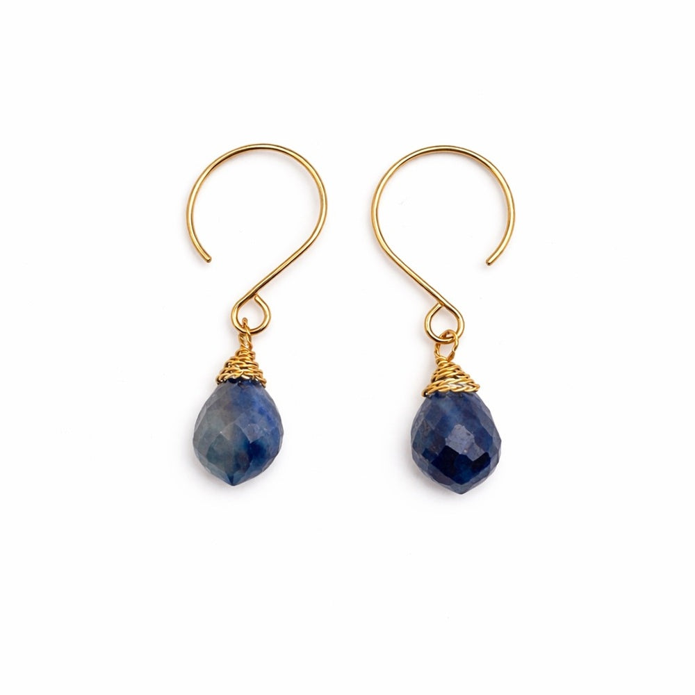Sapphire Earrings (HP7079)