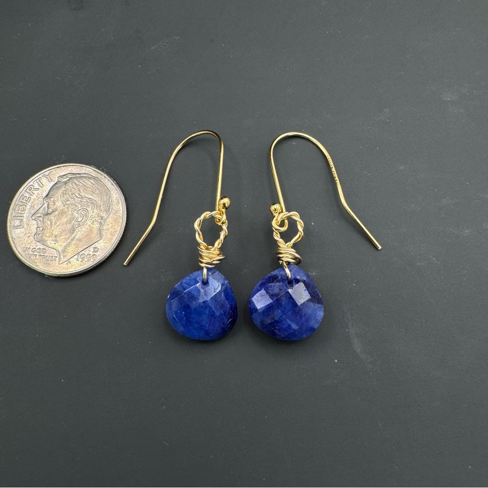 Sapphire Dangle Hook Earrings (HK5088)
