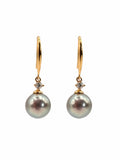 #E48 Akoya Pearl Dangle Earring