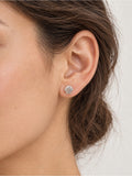 Mini Seashell Stud Earrings