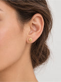 Gold Mini Seashell Stud Earrings